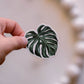 Monstera Leaf Sticker