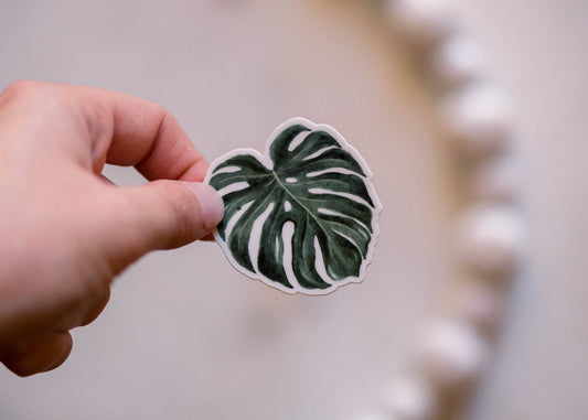 Monstera Leaf Sticker