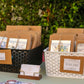 Blind Date Books